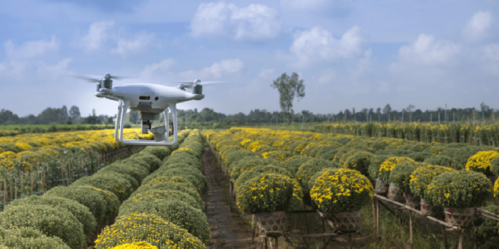 Renda Extra com Drones